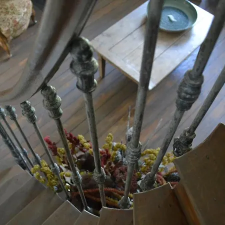 Maison Du Chien 펜션 *