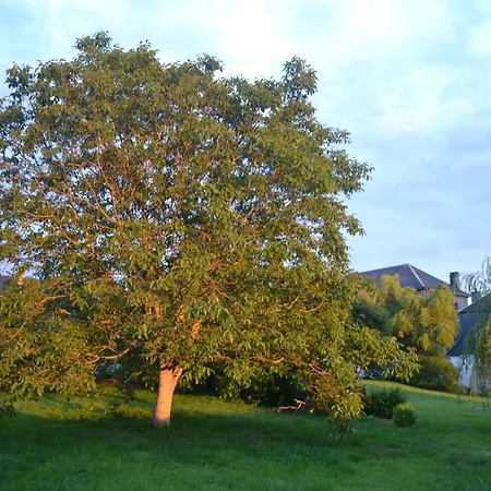 Maison Du Chien * 코르비온