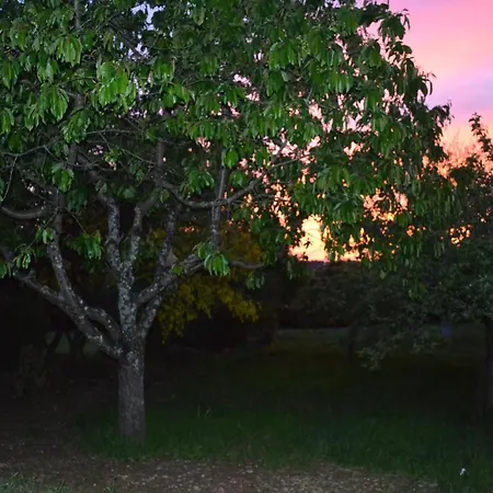 Maison Du Chien 度假居 *