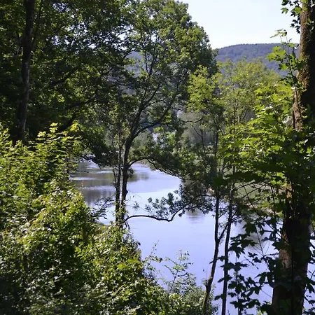 펜션 Maison Du Chien *