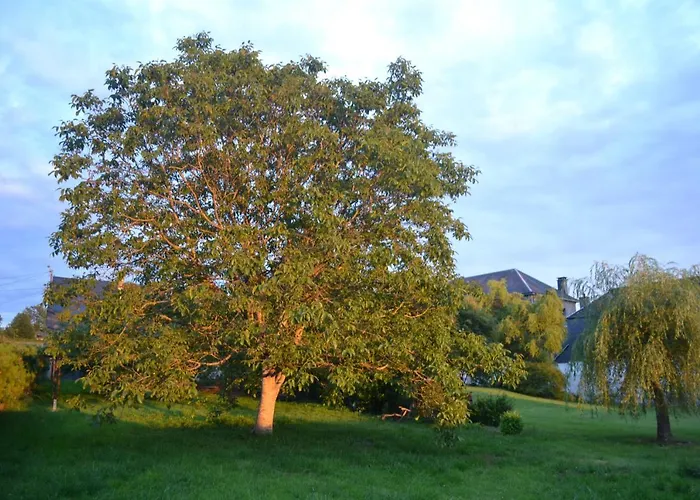 Maison Du Chien * Corbion