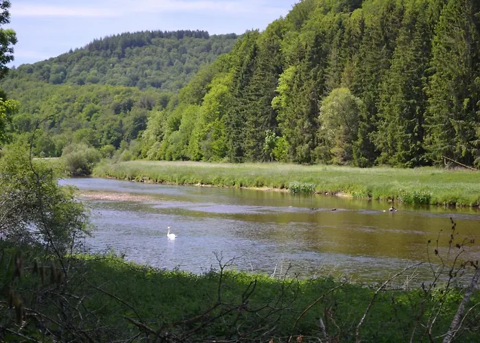 Maison Du Chien Holiday home